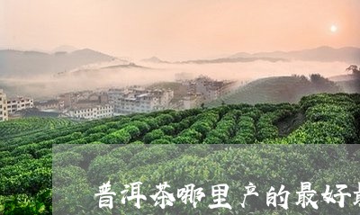 普洱茶哪里产的最好最正宗的/2023083093048