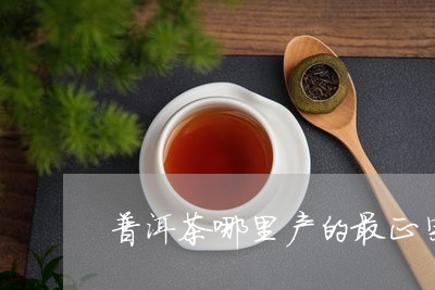 普洱茶哪里产的最正宗最好/2023082535168