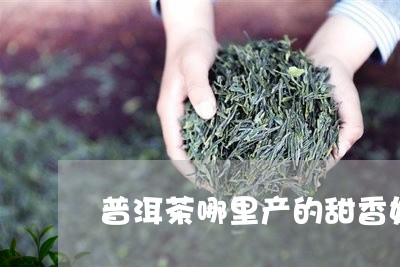 普洱茶哪里产的甜香好喝/2023081423945