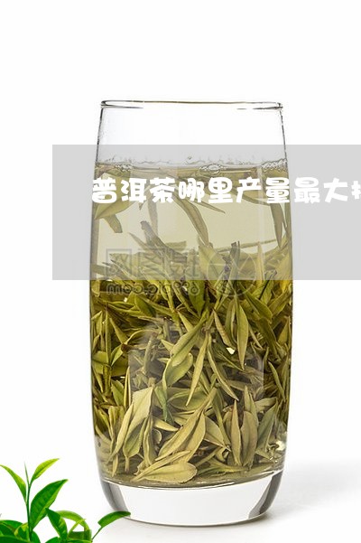 普洱茶哪里产量最大排名/2023083081594