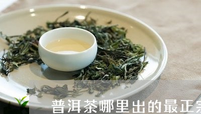 普洱茶哪里出的最正宗/2023120686069