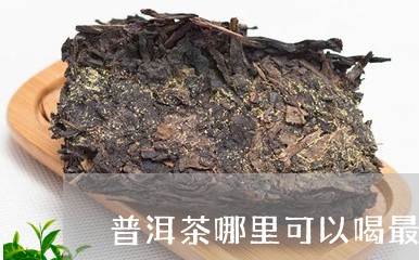 普洱茶哪里可以喝最好听/2023083097382