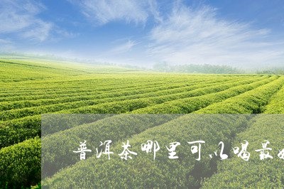 普洱茶哪里可以喝最好的/2023050640586