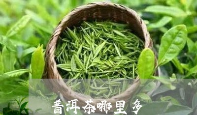 普洱茶哪里多/2023042876920