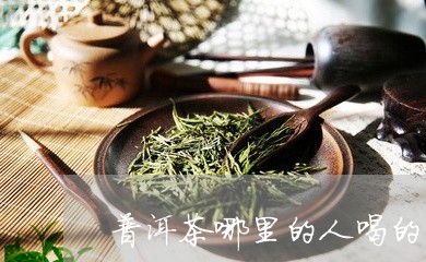 普洱茶哪里的人喝的多啊/2023102402715