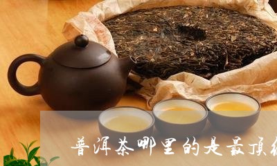 普洱茶哪里的是最顶级/2023101759404