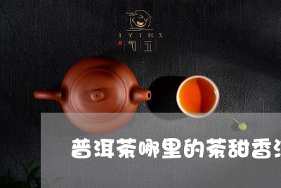 普洱茶哪里的茶甜香浓厚/2023083031816