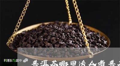 普洱茶哪里适合煮普茶/2023100869360