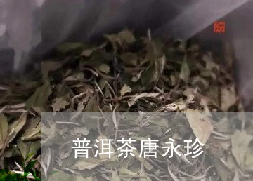 普洱茶唐永珍/2023112629470