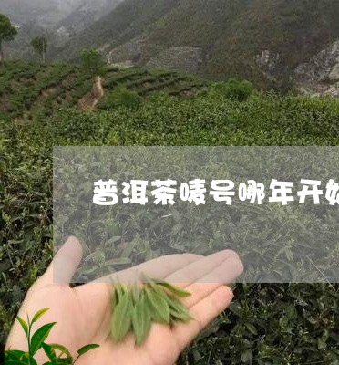 普洱茶唛号哪年开始的/2023072368496