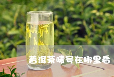 普洱茶唛号在哪里看/2023120574815