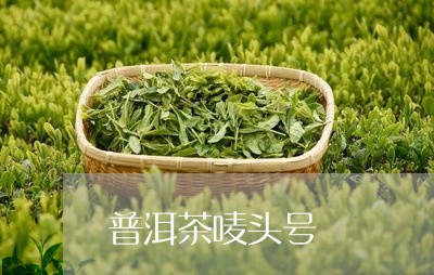 普洱茶唛头号/2023042674528