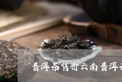 普洱茶售价云南普洱茶代理/2023051007382