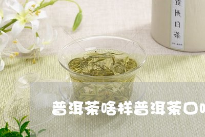 普洱茶啥样普洱茶口味/2023092549591