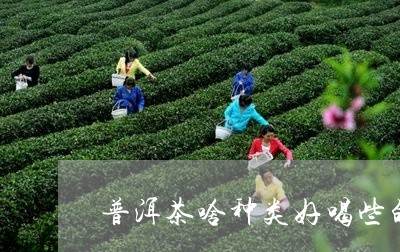 普洱茶啥种类好喝些的茶叶/2023121643959