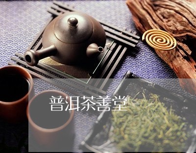 普洱茶善堂/2023112604860