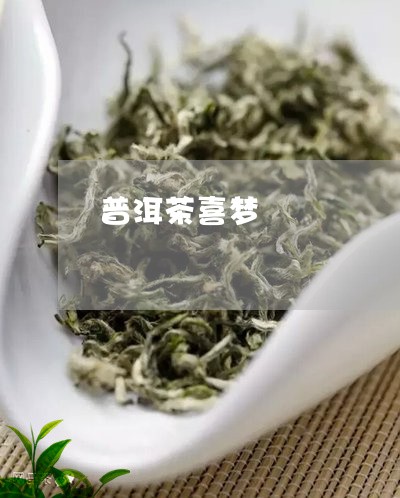 普洱茶喜梦/2023090629473