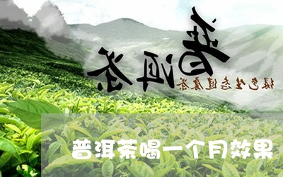 普洱茶喝一个月效果/2023112522928