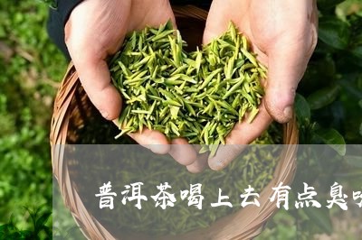 普洱茶喝上去有点臭味/2023062530605