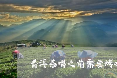 普洱茶喝之前需要烤吗/2023073173957