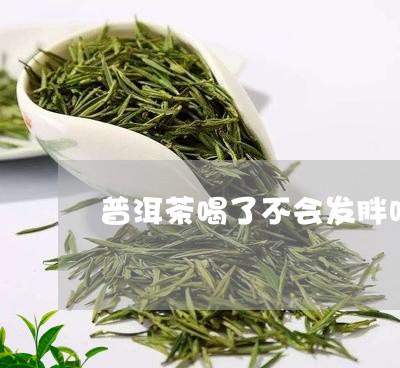 普洱茶喝了不会发胖吗/2023092887240