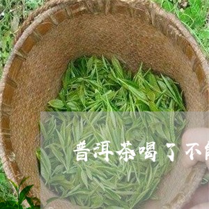 普洱茶喝了不能吃什么/2023092982706