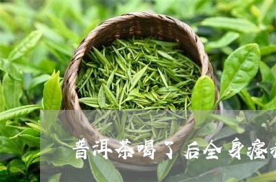 普洱茶喝了后全身瘙痒/2023080186259