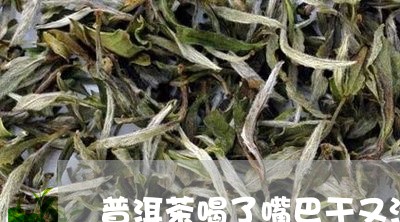 普洱茶喝了嘴巴干又涩/2023073180383