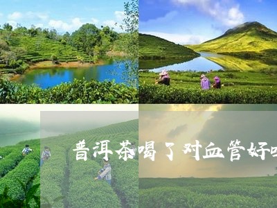 普洱茶喝了对血管好吗/2023062361614