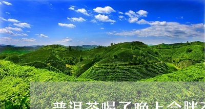 普洱茶喝了晚上会胖不/2023062360603