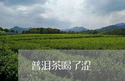 普洱茶喝了涩/2023042993739