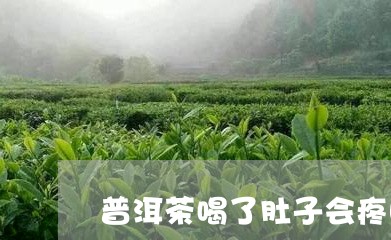 普洱茶喝了肚子会疼吗/2023062118241