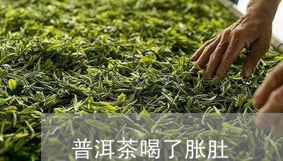 普洱茶喝了胀肚/2023110652715