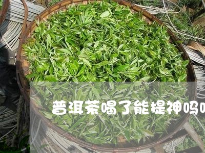 普洱茶喝了能提神吗吗/2023062978160