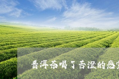 普洱茶喝了苦涩的感觉怎么回事/2023053081794