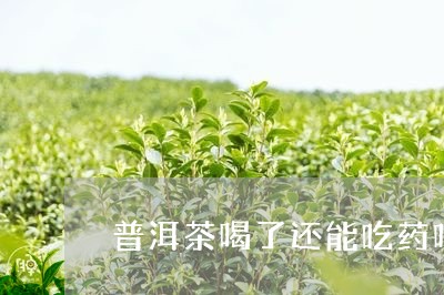 普洱茶喝了还能吃药吗没有解药/2023121611513