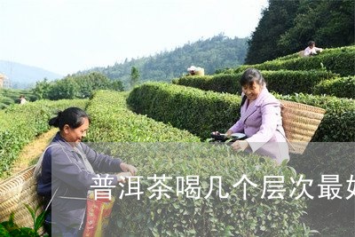 普洱茶喝几个层次最好/2023062801492