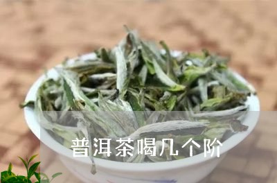 普洱茶喝几个阶/2023062808379