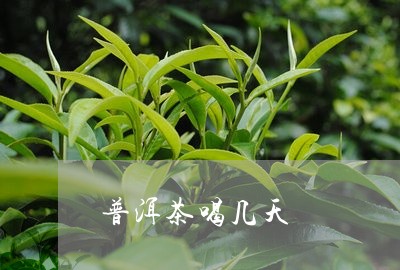 普洱茶喝几天/2023042621599