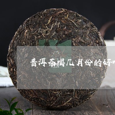 普洱茶喝几月份的好喝些/2023082483896