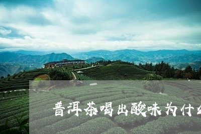 普洱茶喝出酸味为什么/2023100691706