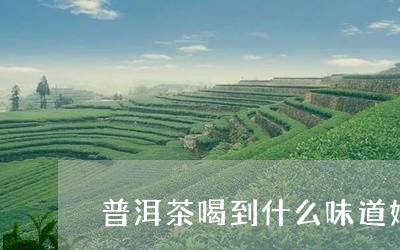 普洱茶喝到什么味道好/2023080299369