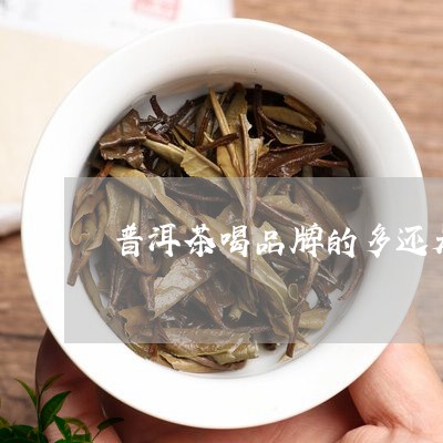 普洱茶喝品牌的多还是纯料多/2023112553926