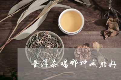 普洱茶喝哪种减脂好/2023071001735