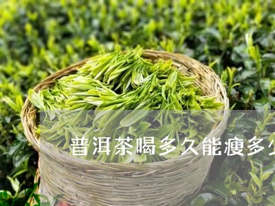 普洱茶喝多久能瘦多少/2023092804158