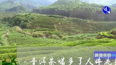 普洱茶喝多了人体流失/2023062582735