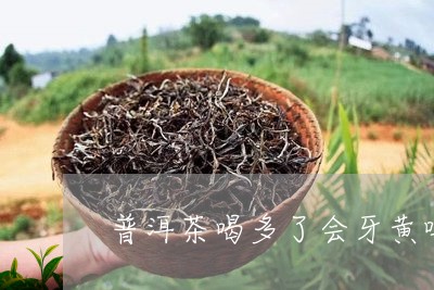 普洱茶喝多了会牙黄吗/2023092893694