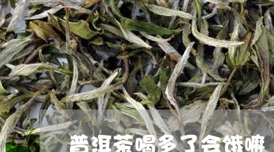 普洱茶喝多了会饿嘛/2023071076259