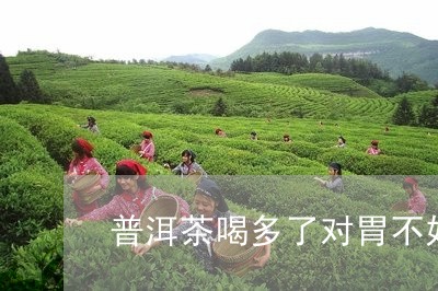 普洱茶喝多了对胃不好/2023062117363