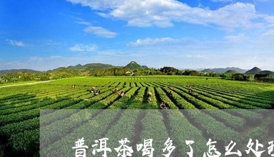 普洱茶喝多了怎么处理/2023100835159